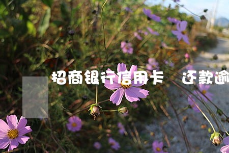 招商银行信用卡 还款逾期 招商银行信用卡 还款逾期